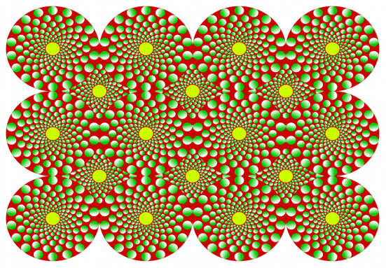 12564010.png