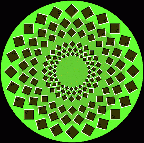 2216843.png