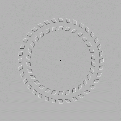 1079010.gif
