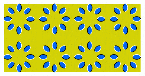 11315880.gif